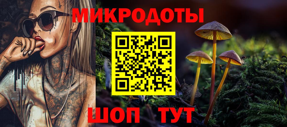 Галлюциногенные грибы мухоморы Артёмовский