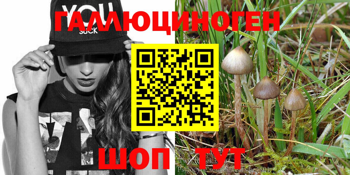 Псилоцибиновые грибы Psilocybe  Вход с VPN  Псилоцибиновые грибы прущие грибы  Артёмовский 